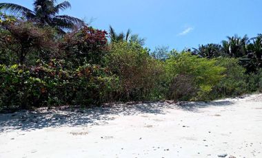 Beachfront Property For Sale in Nangalao, Palawan