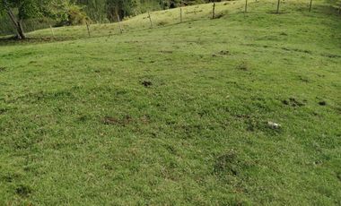 Venta Finca Ganadera Yolombó Antioquia