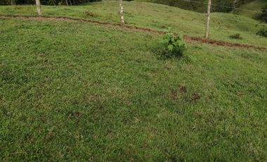 Venta Finca Ganadera Yolombó Antioquia