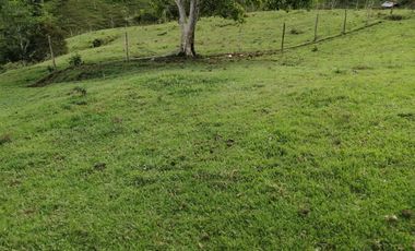 Venta Finca Ganadera Yolombó Antioquia