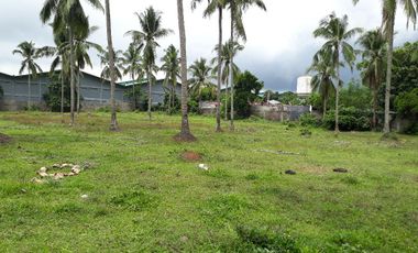 Industrial Commercial Lot Carmona Silang Boundary