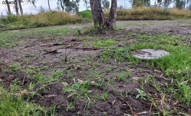 Terrenos de venta en Tabacundo, 400 m2