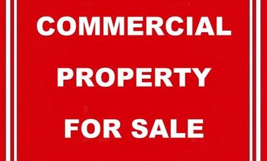 Prime Commercial Lot for Sale along EDSA corner Ortigas Avenue, Greenhills, Mandaluyong City
