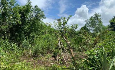 For Sale: Lot in Bil-isan Panglao Bohol, P93M!