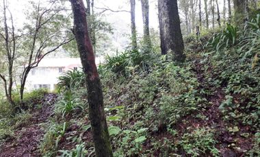 Remato Casa de Descanso Campestre en Mineral del Chico, Hidalgo