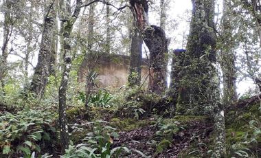 Remato Casa de Descanso Campestre en Mineral del Chico, Hidalgo