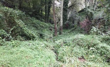 Remato Casa de Descanso Campestre en Mineral del Chico, Hidalgo