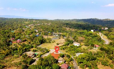 Leisure Farms Lemery Batangas Farm Lot For Sale