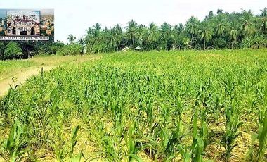 FOR SALE TITLED FARM LOT IN ALOGUINSAN FOR SALE