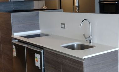 Arriendo dpto estudio en Reñacamar II $445.000