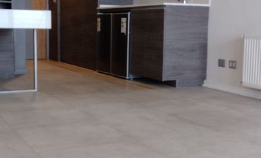 Arriendo dpto estudio en Reñacamar II $445.000