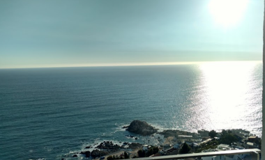 Arriendo dpto estudio en Reñacamar II $445.000