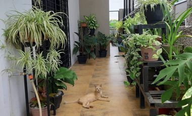 VILLA JOSEFINA HOUSE AND LOT FOR SALE