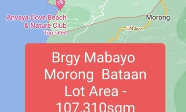 Brgy Mabayo  Morong Bataan Lot For Sale