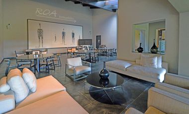 Central Park Guadalajara con Terraza  English Spoken