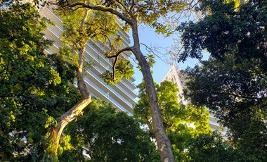 Central Park Guadalajara con Terraza  English Spoken