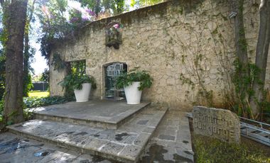 Central Park Guadalajara con Terraza  English Spoken