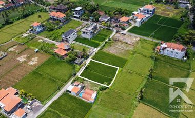 Cheap Land for Sale View Kemenuh Rice Fields Near Ubud Bali