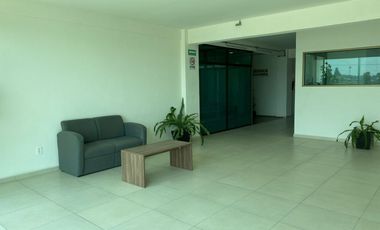 RENTA OFICINAS Excelentes oficinas en renta edificio nuevo en Metepec