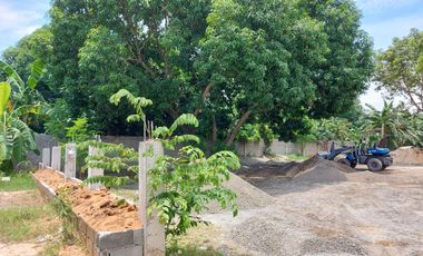 Lot with unfinished house for Sale in Buenlag, Calasiao, Pangasinan