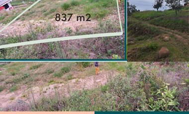 VENTA LOTE RURAL VEREDA LA TRINIDAD  DEL MUNICIPIO FUSAGASUGA CUNDINAMARCA