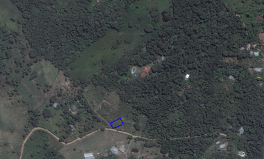 VENTA LOTE RURAL VEREDA LA TRINIDAD  DEL MUNICIPIO FUSAGASUGA CUNDINAMARCA