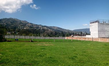 Terreno en alquiler Los Cipreses y Ruta viva  Tumbaco Quito Ecuador