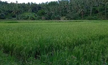 Motiong, Western Samar