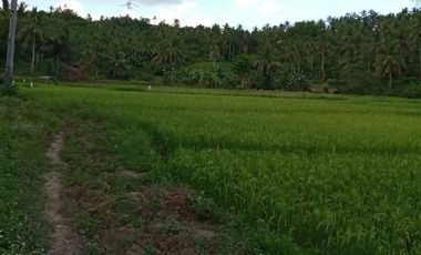 Motiong, Western Samar