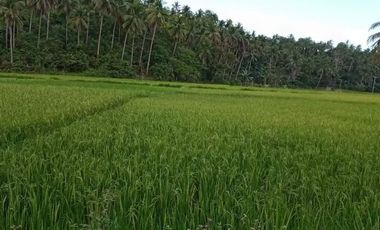 Motiong, Western Samar