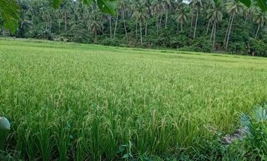 Motiong, Western Samar