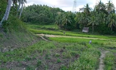 Motiong, Western Samar