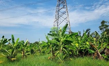 ขายที่ดิน พร้อม บ้านเดี่ยว 2 ชั้น วัดปากบ่อ บางกระเจ้า สมุทรสาคร เนื้อที่ 3-0-69 ไร่ แปลงสวย ทำเลดี พร้อมอยู่