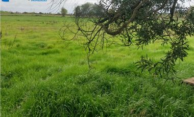 TERRENO SECTOR  CORRALONES  - COMUNA DE PELARCO