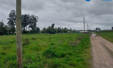 TERRENO SECTOR  CORRALONES  - COMUNA DE PELARCO