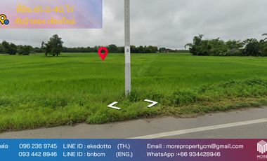 Property id148ls Land for sale in sanpa tong 61-2-40 Rai  nearban piang