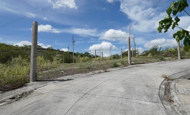 Residential Lot for Sale in Compostela, Cebu at Amoa