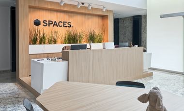 Oficinas privadas totalmente equipadas para ti y tu equipo en MEXICO CITY, Roma