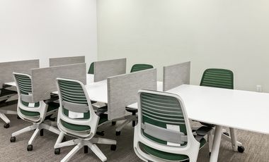 Oficinas privadas totalmente equipadas para ti y tu equipo en MEXICO CITY, Roma