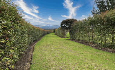 Terrenos desde los 800 m²