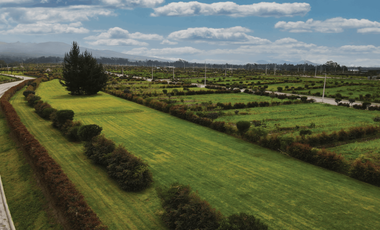 Terrenos desde los 800 m²