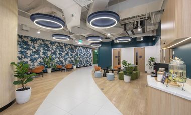 Private Office for Rent at One Ayala Mall, Ayala Avenue, Makati City