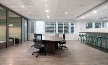 Acceso a oficinas profesionales en BUENOS AIRES, Laminar II Catalinas