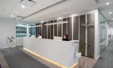 Acceso a oficinas profesionales en BUENOS AIRES, Laminar II Catalinas