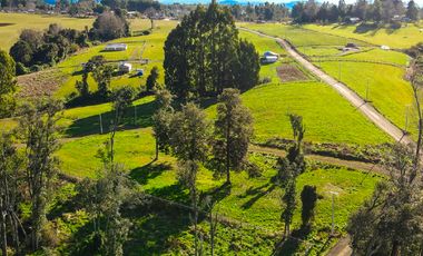 Parcelas en Osorno