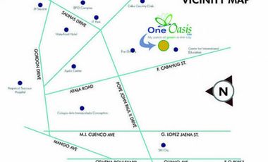 For Sale Beautiful 2 Bedroom unit with balcony in One Oasis, Cebu