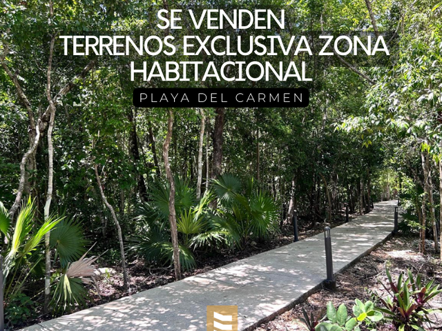 Terrenos en Venta Playa del Carmen